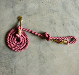 City Pink rope lead
