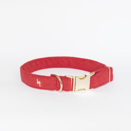 Pop-Up Red Standard Buckle collar